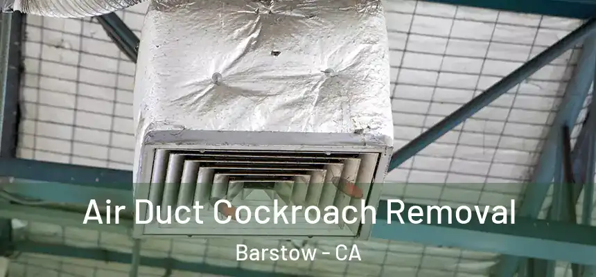  Air Duct Cockroach Removal Barstow - CA