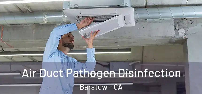  Air Duct Pathogen Disinfection Barstow - CA