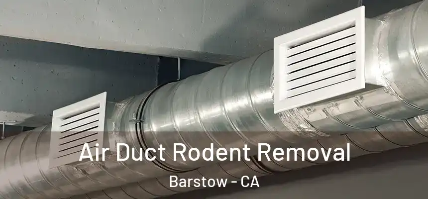 Air Duct Rodent Removal Barstow - CA