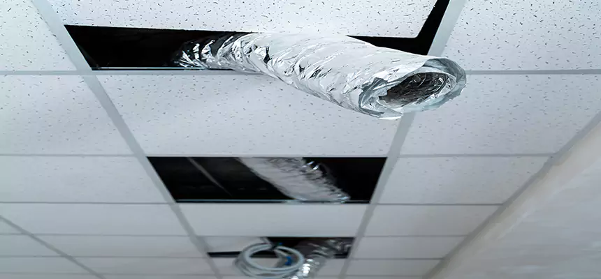 Our Air Duct Pet Hair Removal Services in Barstow, CA