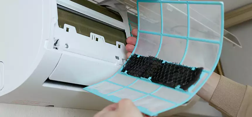 Gentle Ductwork Odor-Control Pet Dander Duct Cleaning in Barstow, CA