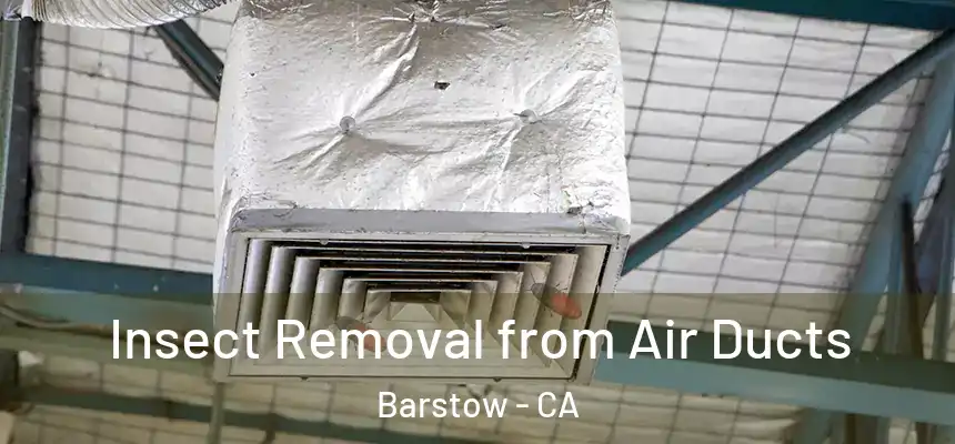  Insect Removal from Air Ducts Barstow - CA