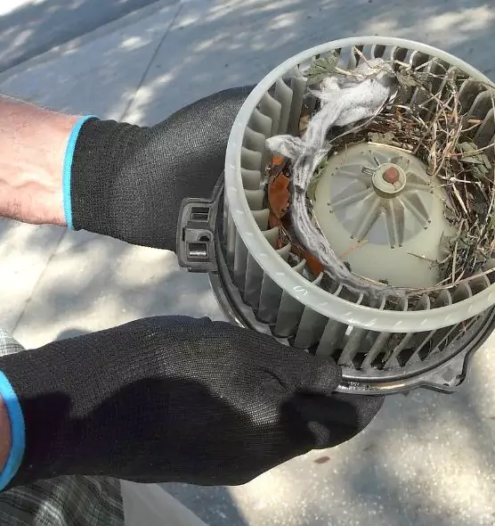 About Air Duct Mice Removal in Barstow, CA